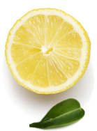 decoration citron